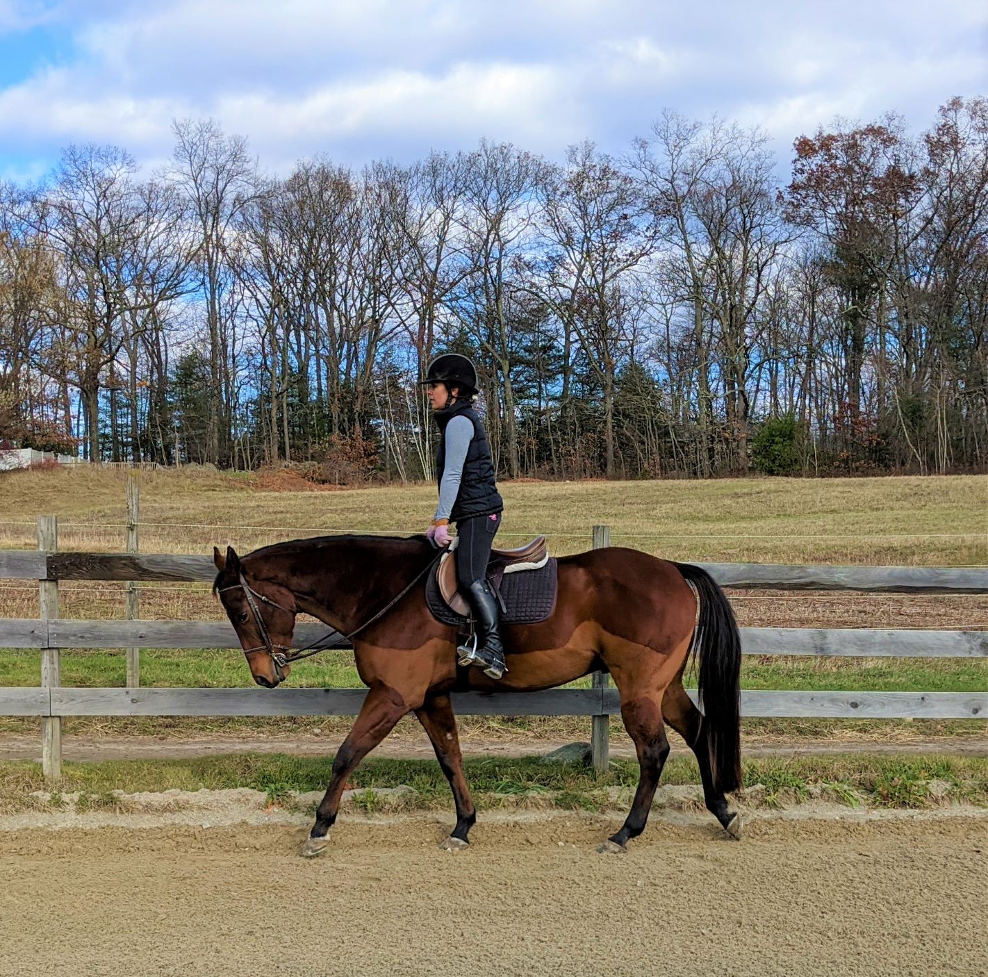 12 Mounted Horseback Riding Stretches To Do When You Ride The Flaxen