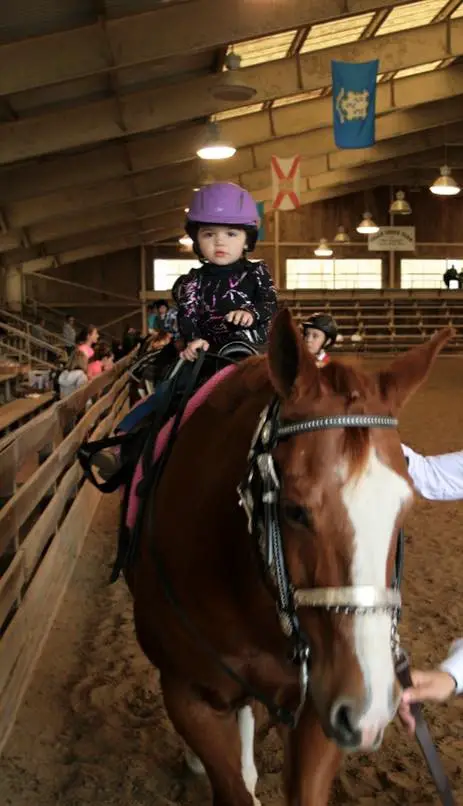learning to ride, horseback riding lessons, leadline, horse showing, kids riding horses, horse crazy kids