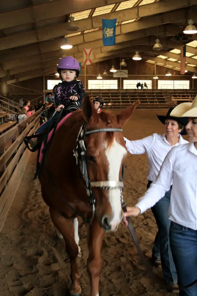How to decide, what age can children start horseback riding lessons in the US? Factors to consider before starting your toddler in lessons.