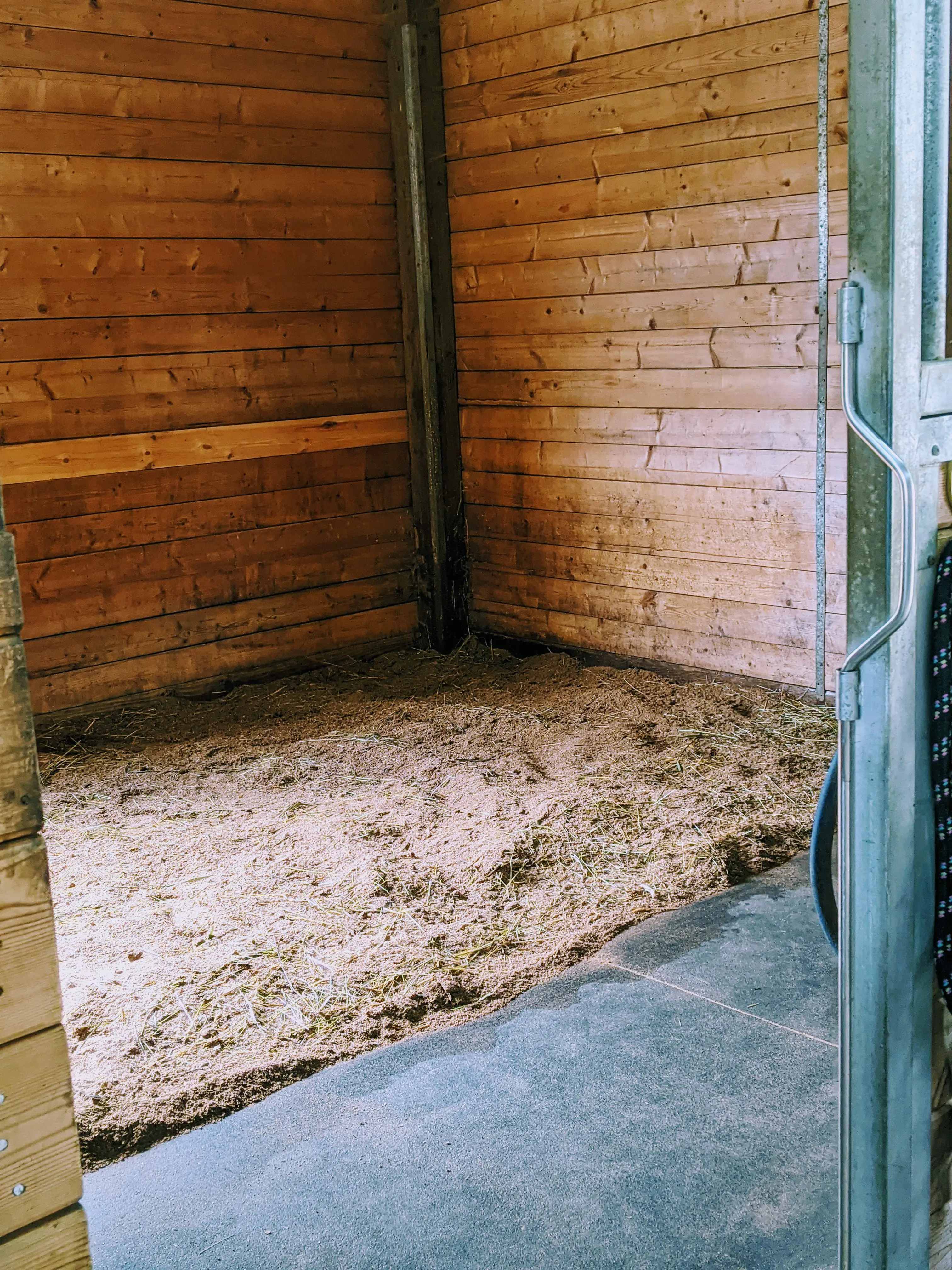 how to clean a stall, barn chores, stall cleaning, mucking stalls, barn organization, clean barn, horse farm, stable management
