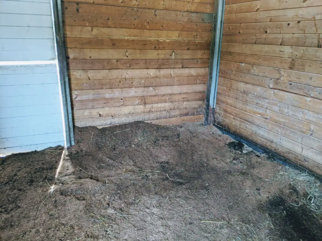 how to clean a stall, barn chores, stall cleaning, mucking stalls, barn organization, clean barn, horse farm, stable management