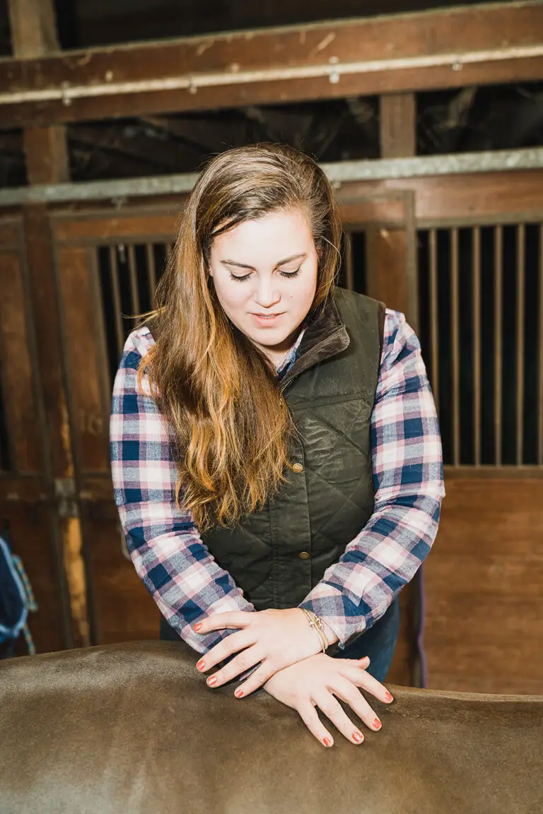 How To An Equine Chiropractor The Flaxen Filly