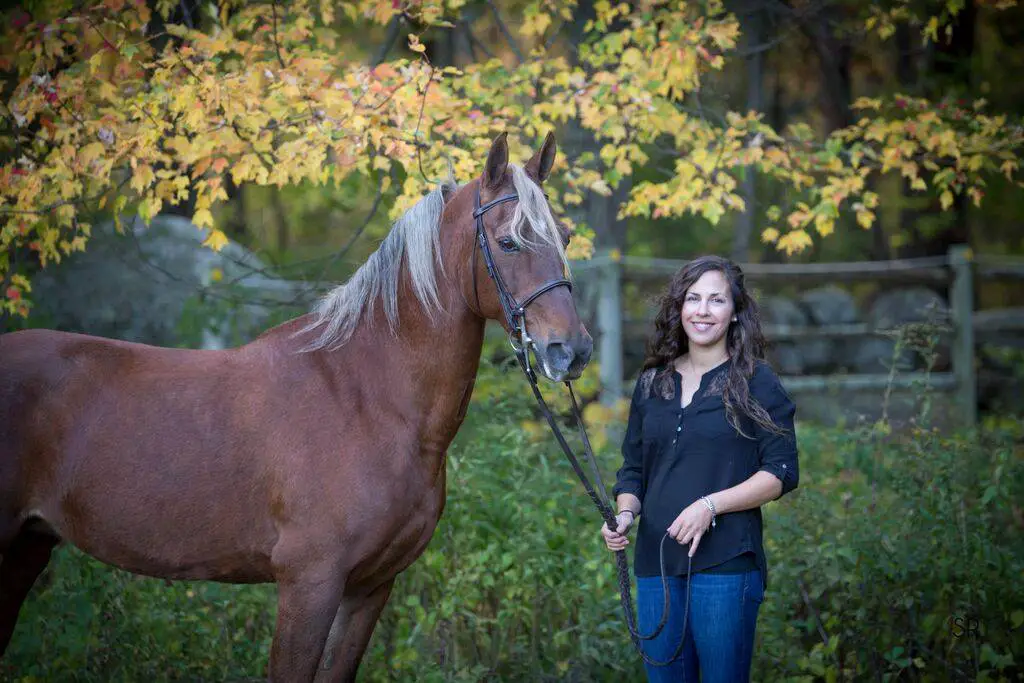 The Flaxen Filly, chestnut mare, morgan horse, morgan mare, chestnut mare with flaxen mane, UC Fascinatin' Rythum, University of Connecticut Morgan