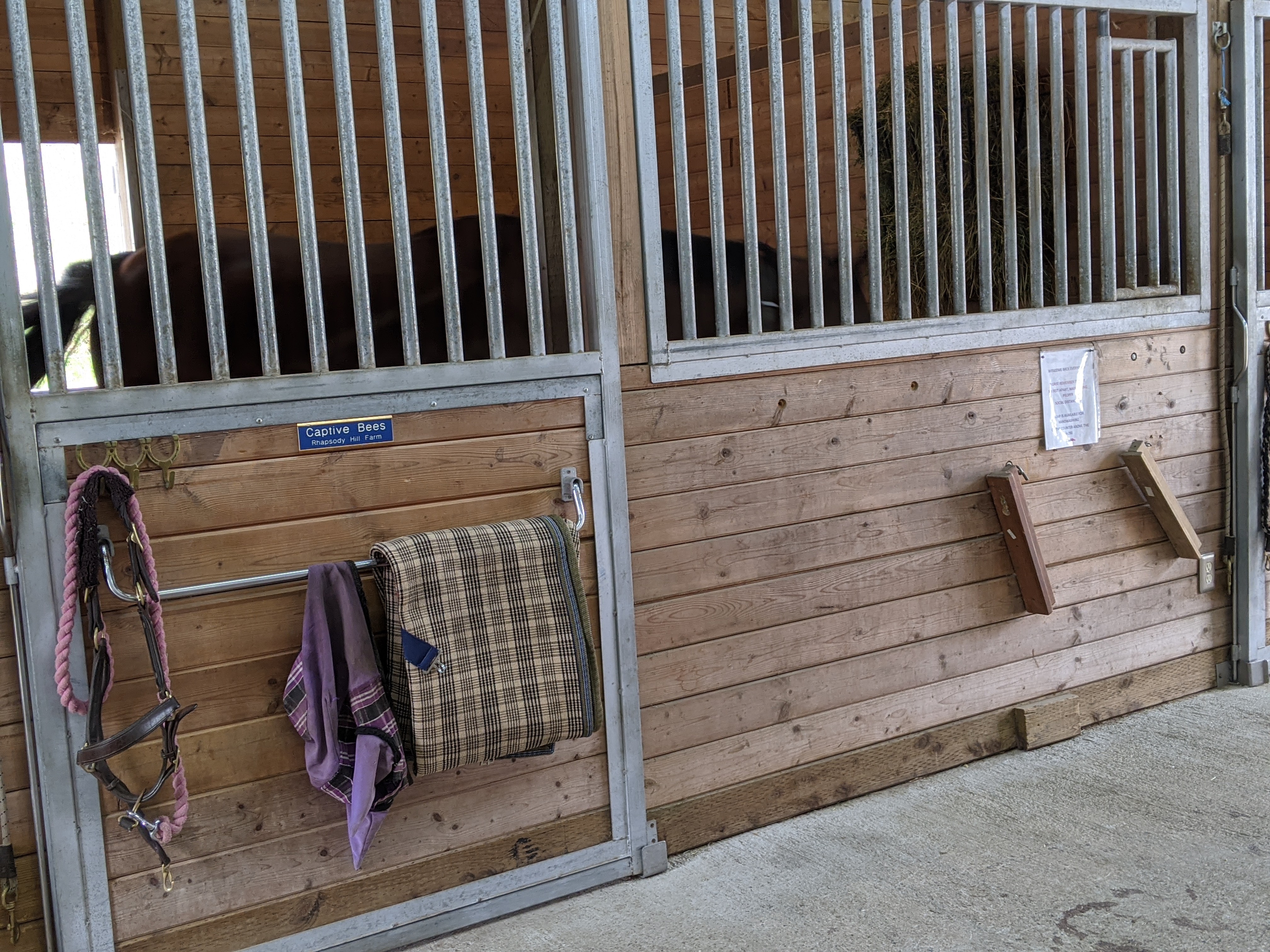 barn organization, barn aisle organization, neat barn aisle, tidy barn aisle, clean barn, barn hacks