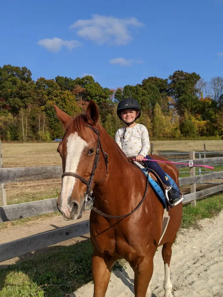 horses, horseback riding lessons, riding lessons, horse riding lessons, horseback riding instructor, learning to ride