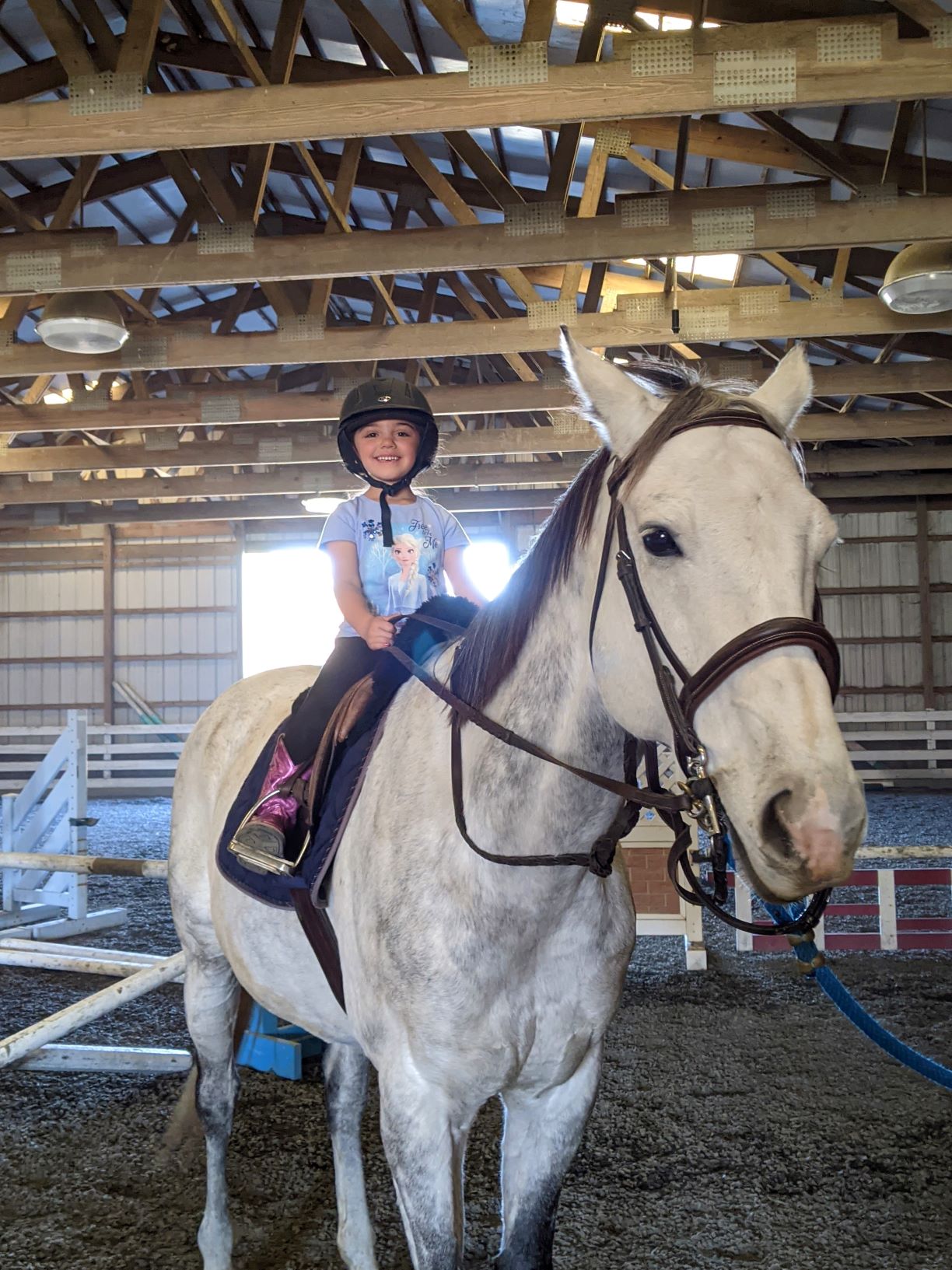 horseback riding lessons, riding lessons, first riding lesson, what to expect at your first riding lesson, learning to ride, horseback riding
