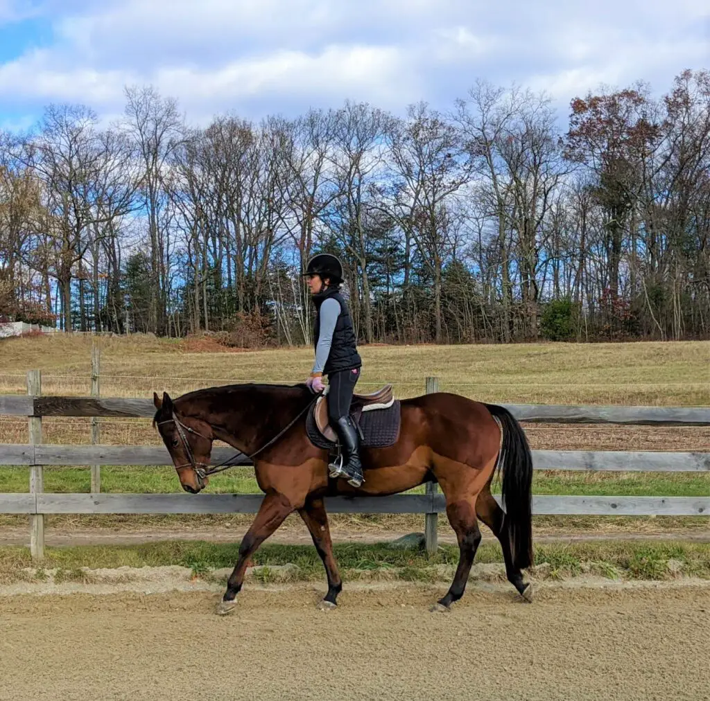 Equestrian Stretches, horseback riding warm-up, mounted riding stretches, horseback riding stretches