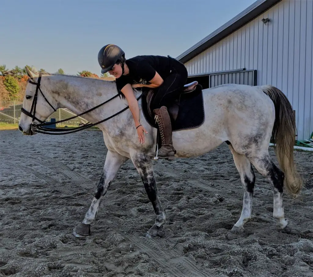 Equestrian Stretches, horseback riding warm-up, mounted riding stretches, horseback riding stretches