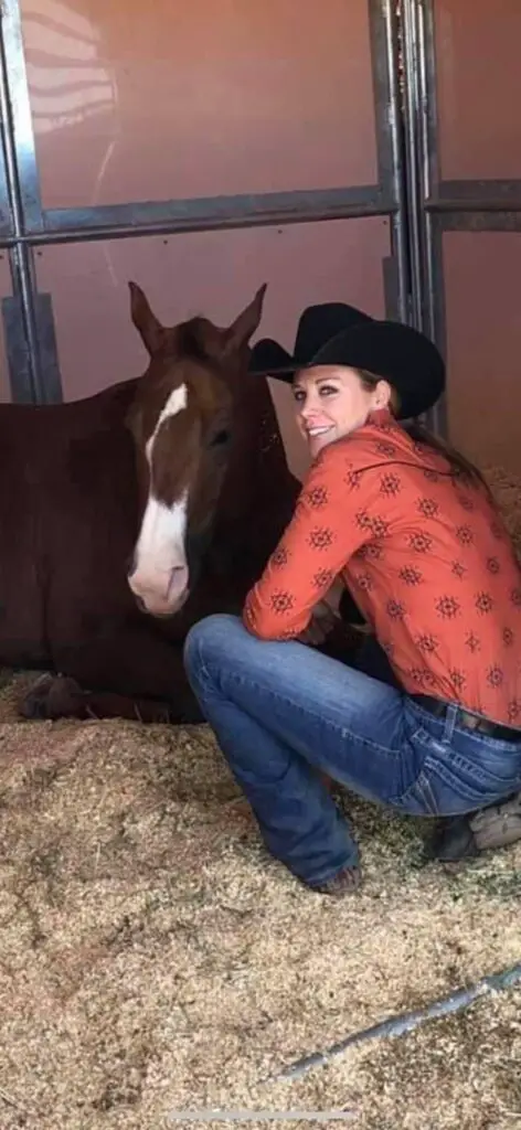 horse training, professional horse trainer, equine business, horseshows, AQHA, quarter horse, hunter under saddle, western pleasure, all around horses, quarter horse congress, AQHA world show