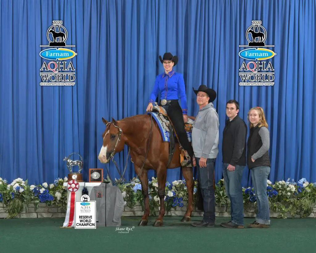 horse training, professional horse trainer, equine business, horseshows, AQHA, quarter horse, hunter under saddle, western pleasure, all around horses, quarter horse congress, AQHA world show