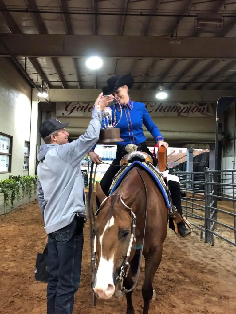 horse training, professional horse trainer, equine business, horseshows, AQHA, quarter horse, hunter under saddle, western pleasure, all around horses, quarter horse congress, AQHA world show