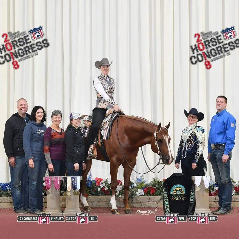 horse training, professional horse trainer, equine business, horseshows, AQHA, quarter horse, hunter under saddle, western pleasure, all around horses, quarter horse congress, AQHA world show