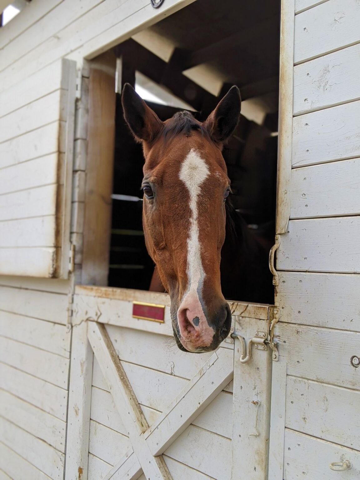 How To Choose A Boarding Barn For Your Horse - The Flaxen Filly