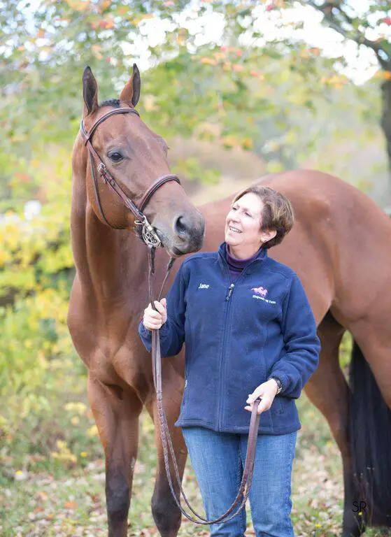 horse boarding, professional barn manager, experienced barn owner
