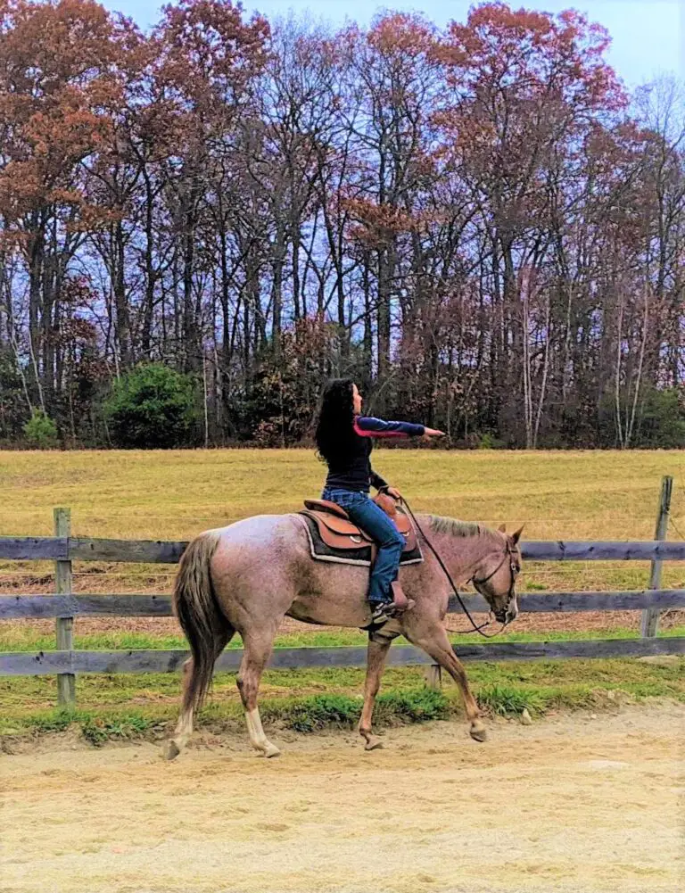 12 Mounted Horseback Riding Stretches To Do When You Ride - The Flaxen ...