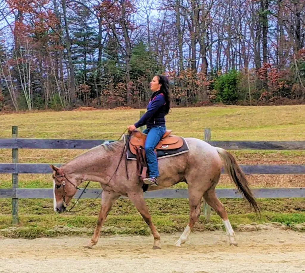 5 Tips To Remember For A Successful No Stirrup November The Flaxen Filly