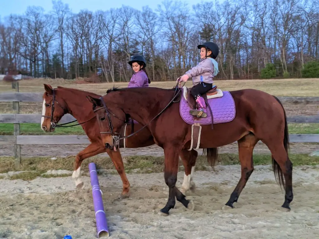 horseback riding lessons, gift of riding lessons, gift guide for equestrians