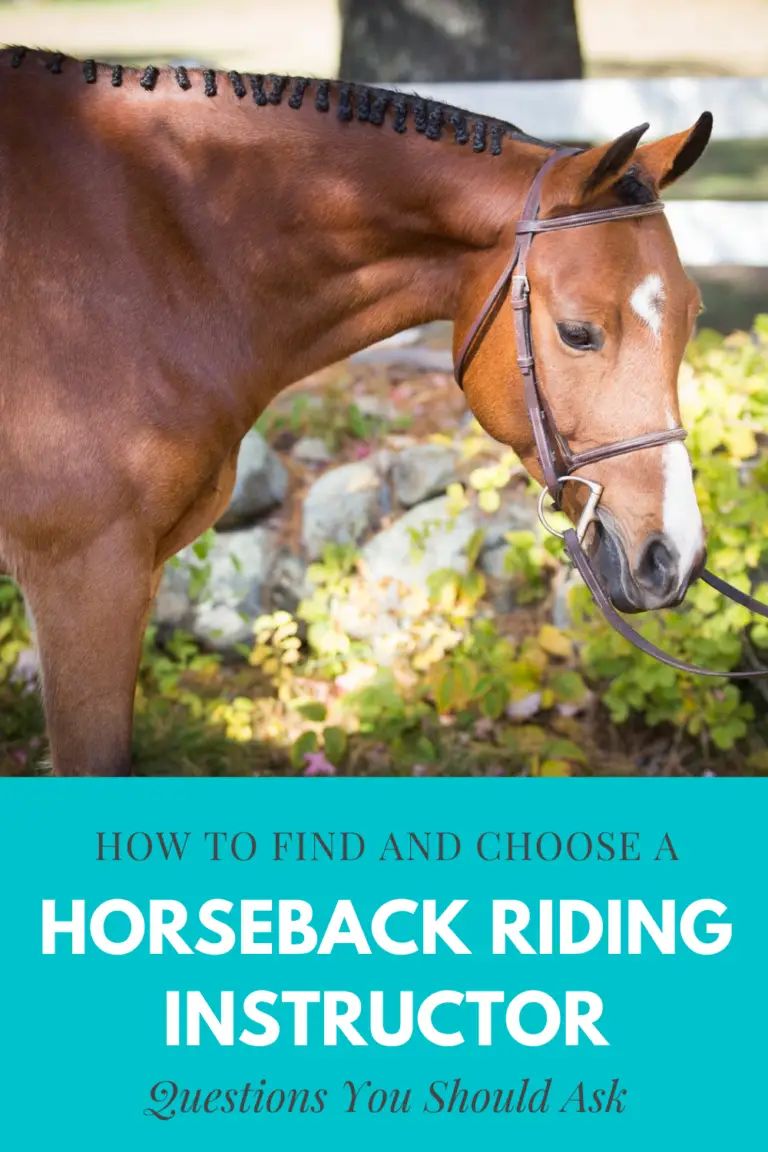 How To Choose A Horseback Riding Instructor The Flaxen Filly