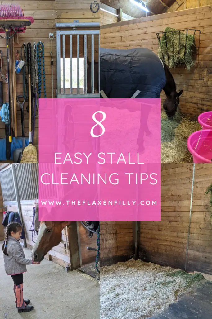 how to clean your horse's stall, horse stable management, horse care