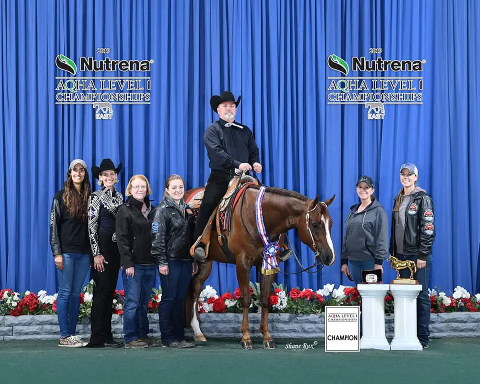 horse training, professional horse trainer, equine business, horseshows, AQHA, quarter horse, hunter under saddle, western pleasure, all around horses, quarter horse congress, AQHA world show