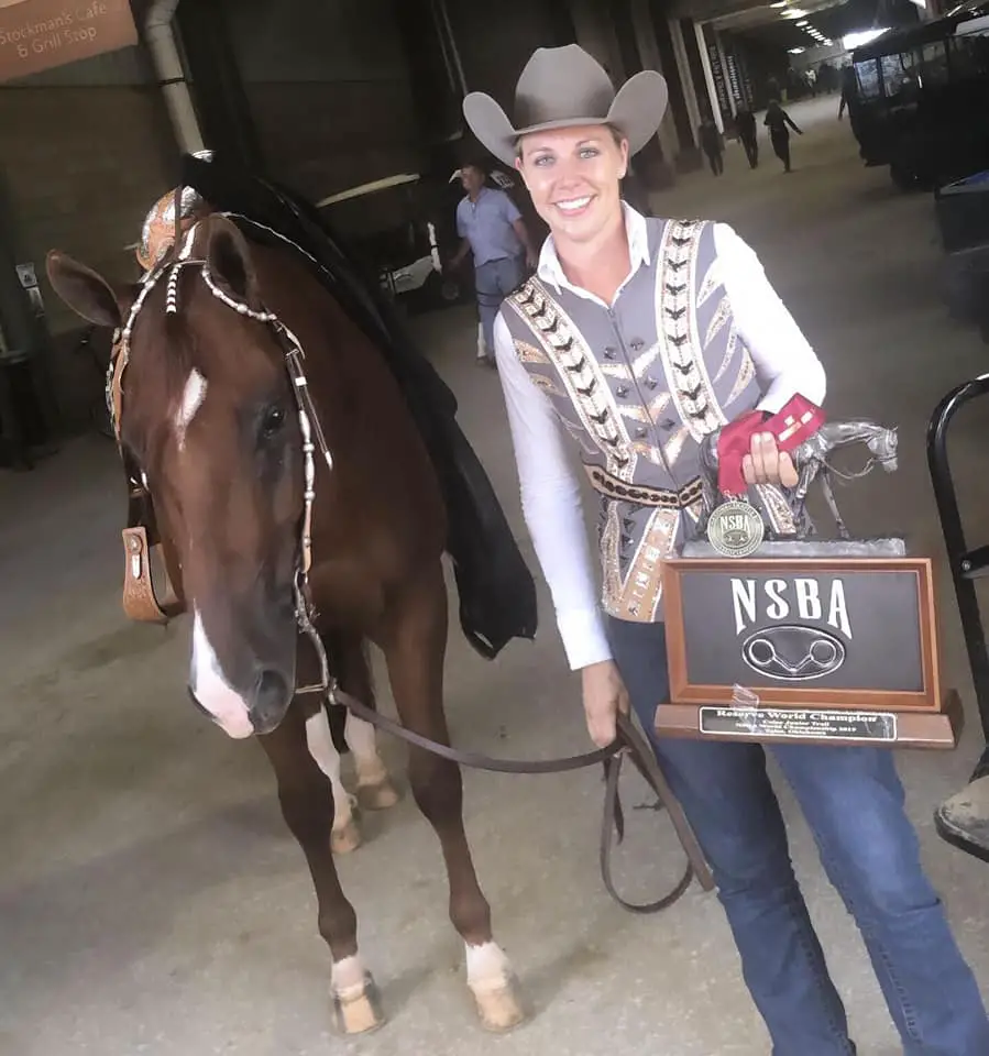 How To Become A Horse Trainer With AQHA Professional Horseman - The ...