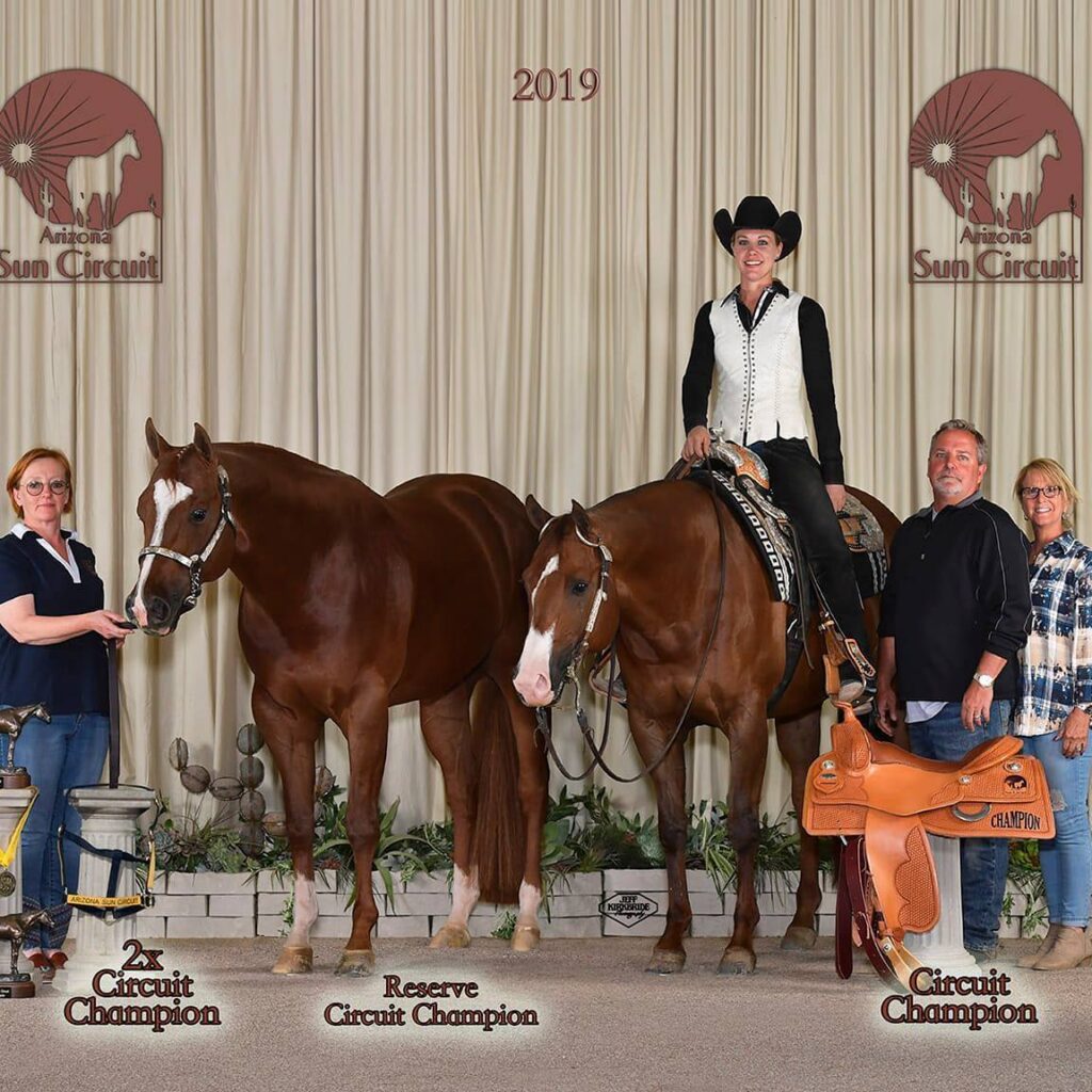 horse training, professional horse trainer, equine business, horseshows, AQHA, quarter horse, hunter under saddle, western pleasure, all around horses, quarter horse congress, AQHA world show