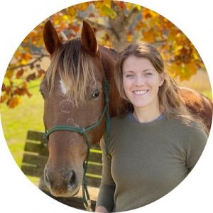 equine helper, equestrian blog, horses, horse training