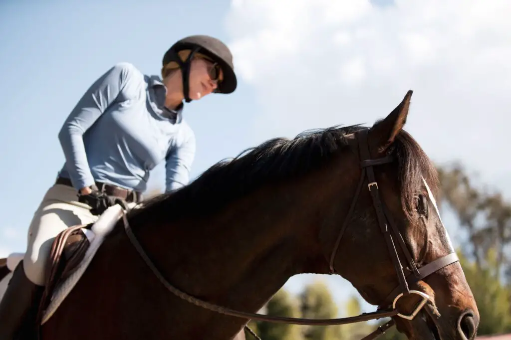 saddle seeks horse, equestrian lifestyle blog, ottb, thoroughbred