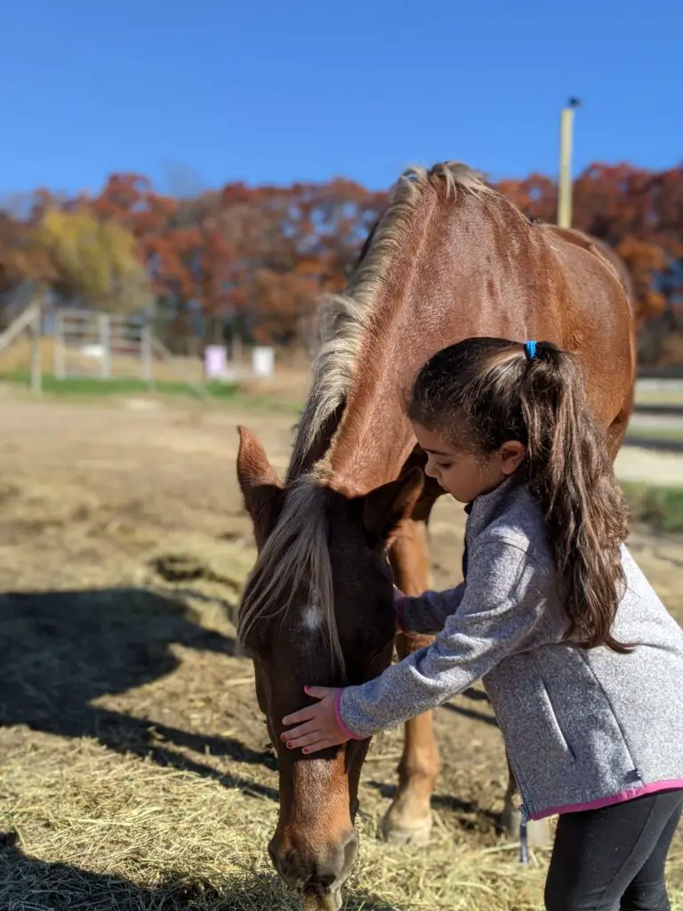 life skills learned from horses, bonding with horses, kids should ride horses, benefits of horseback riding, why horseback riding is good for you