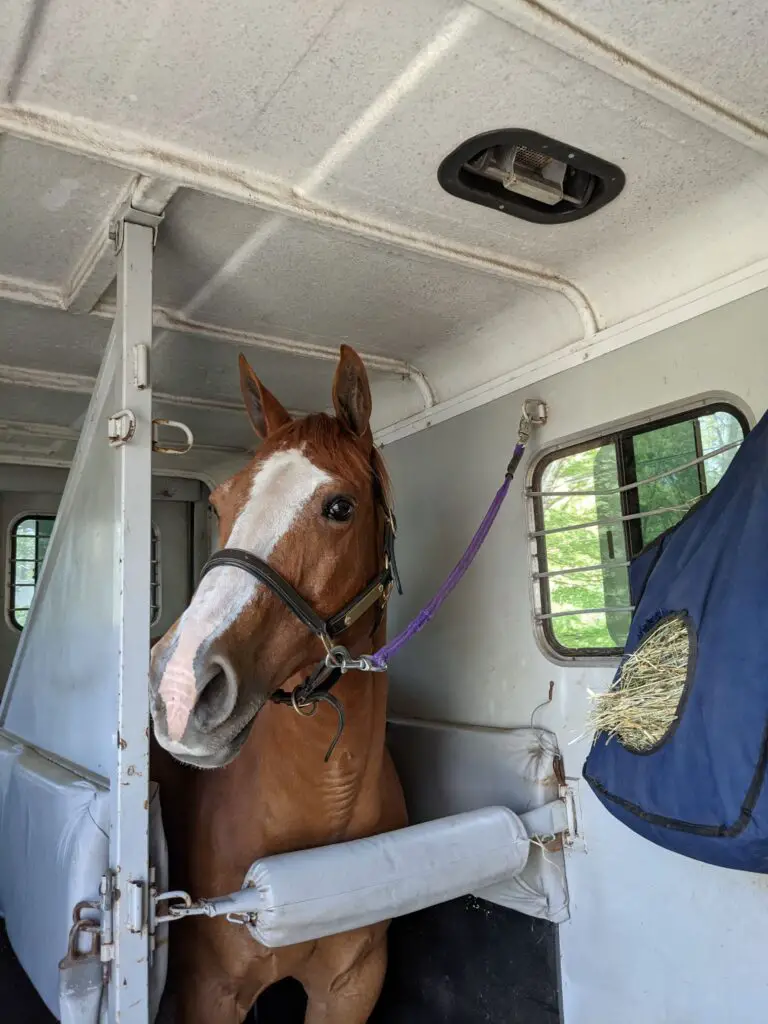 trailering to a horse show, packing the horse trailer, what to expect at horse shows