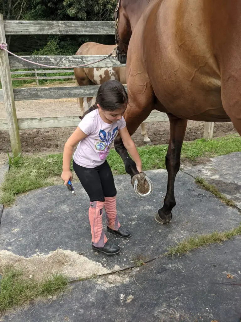 How To Pick Your Horse's Hooves Correctly The Flaxen Filly