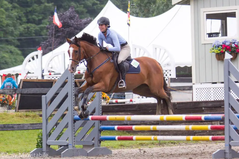 Horse and rider jumping and keeping nerves under control while showing.