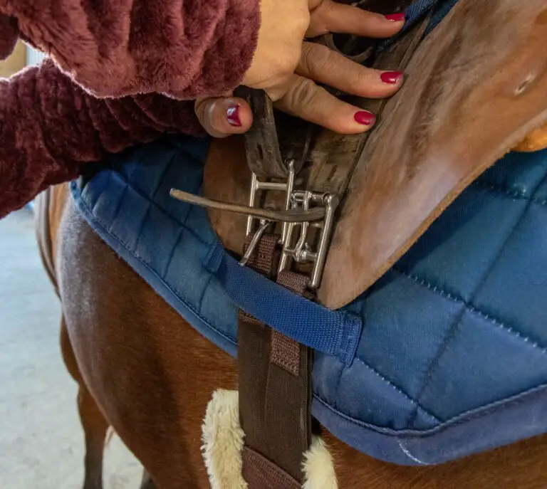 How To Tack Up Your Horse English, A Beginner's Guide The Flaxen Filly