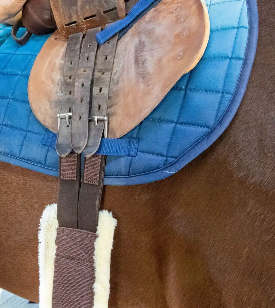 How To Tack Up Your Horse English, A Beginner's Guide The Flaxen Filly