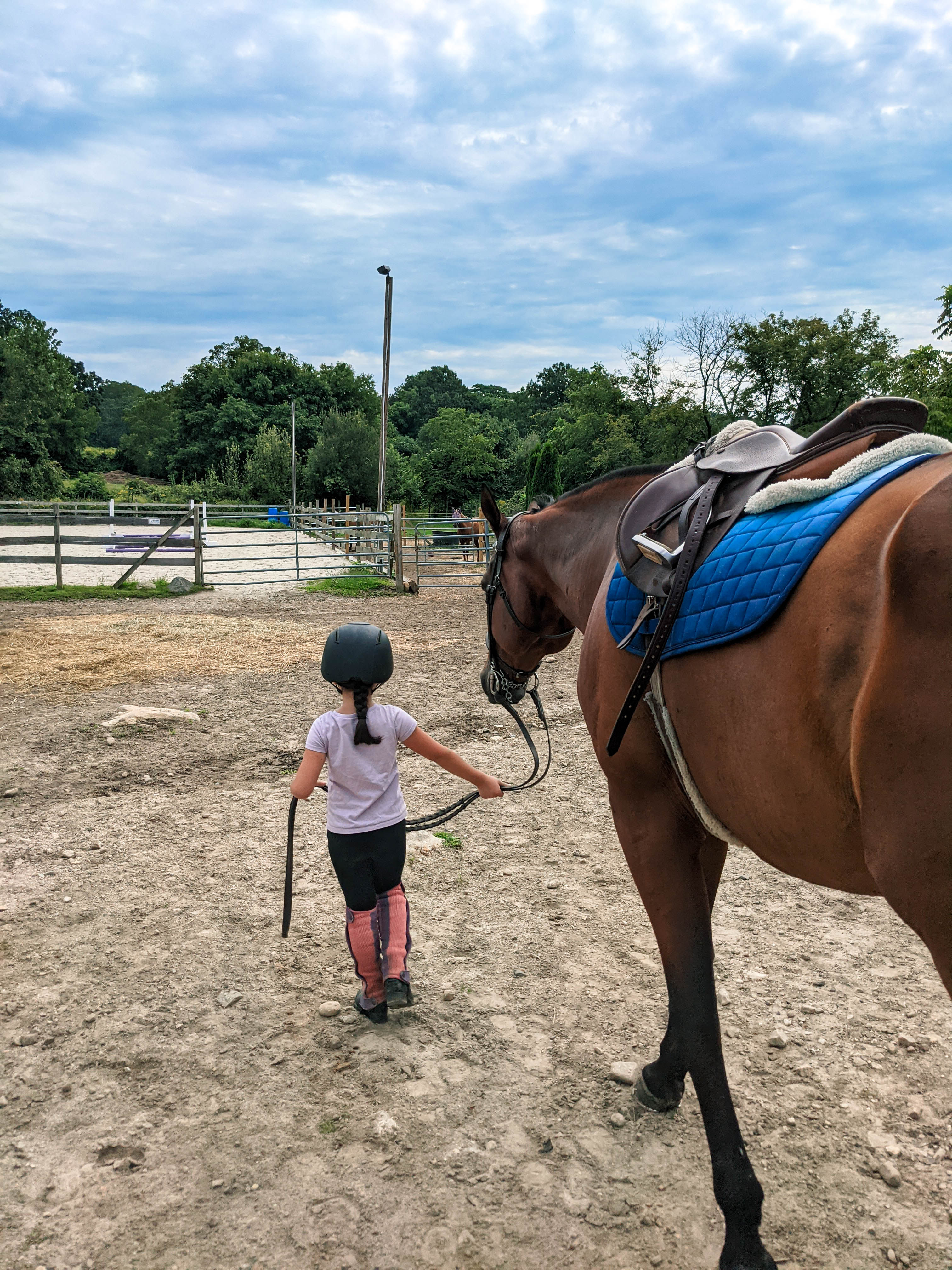 What you'll learn at your first riding lesson, how to lead a horse.