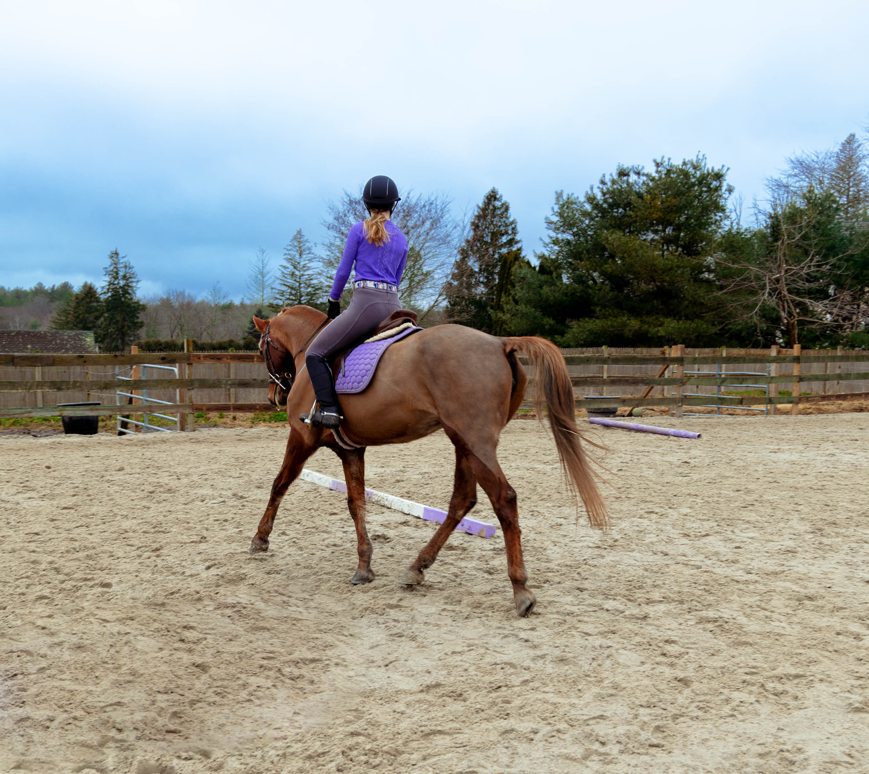 How to keep your kids safe at the barn, a guide for parents to understanding barn rules.