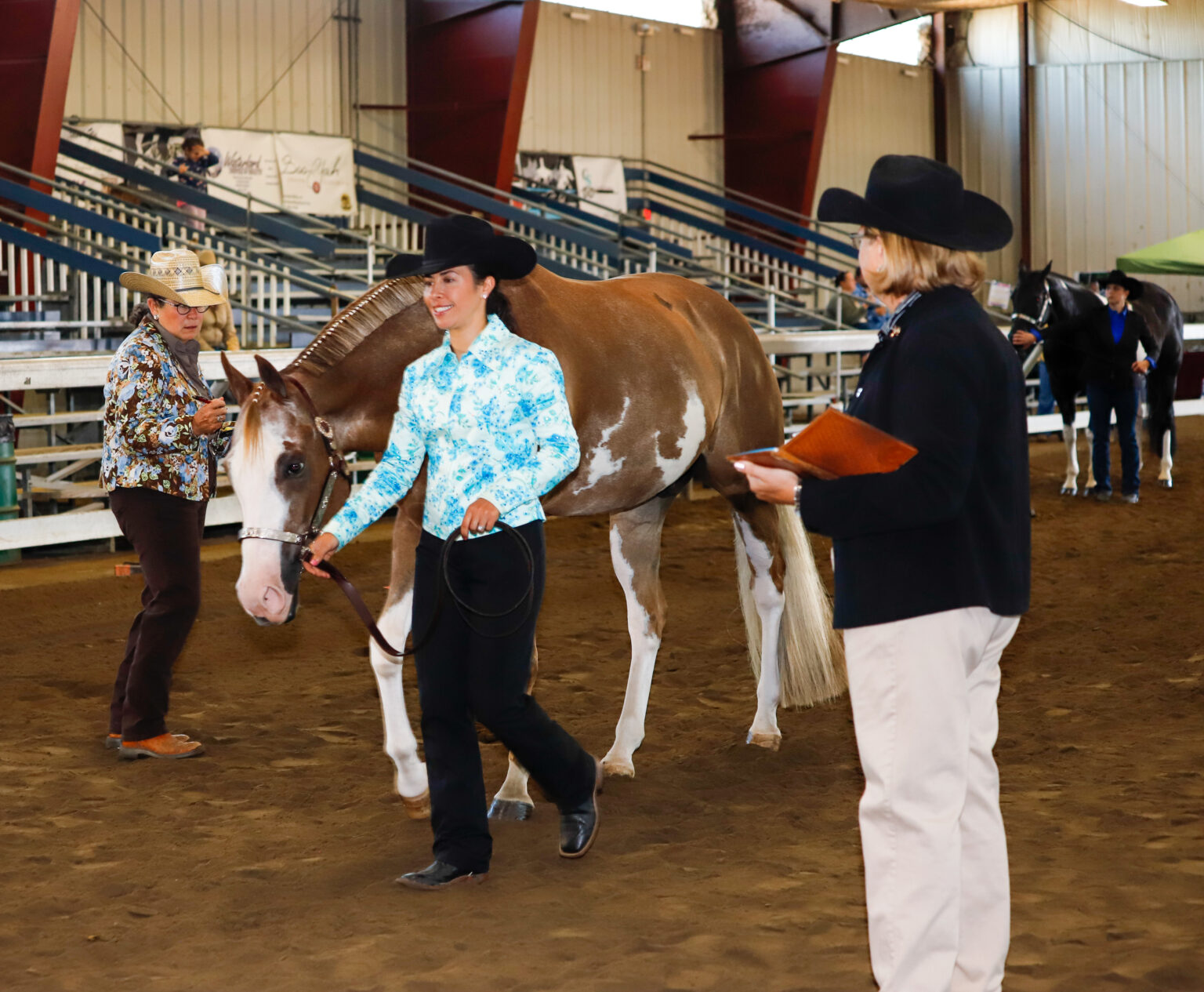 How To Band Your Horse's Mane For A Horse Show - The Flaxen Filly