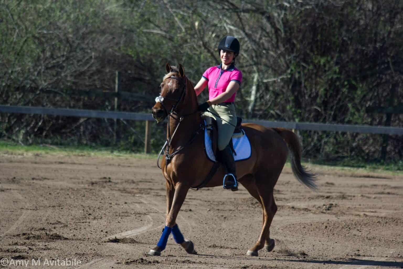 Beginner's Guide Learn How To Ride Without Stirrups Safely The